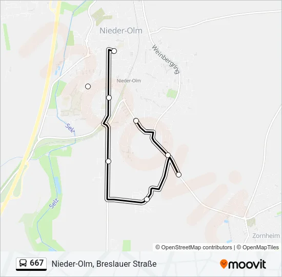 667 Bus Line Map