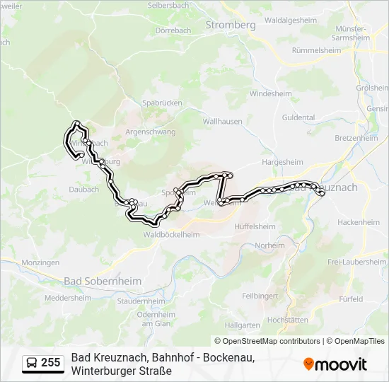 255 Route: Schedules, Stops & Maps - Ippenschied, Ortsmitte (Updated)