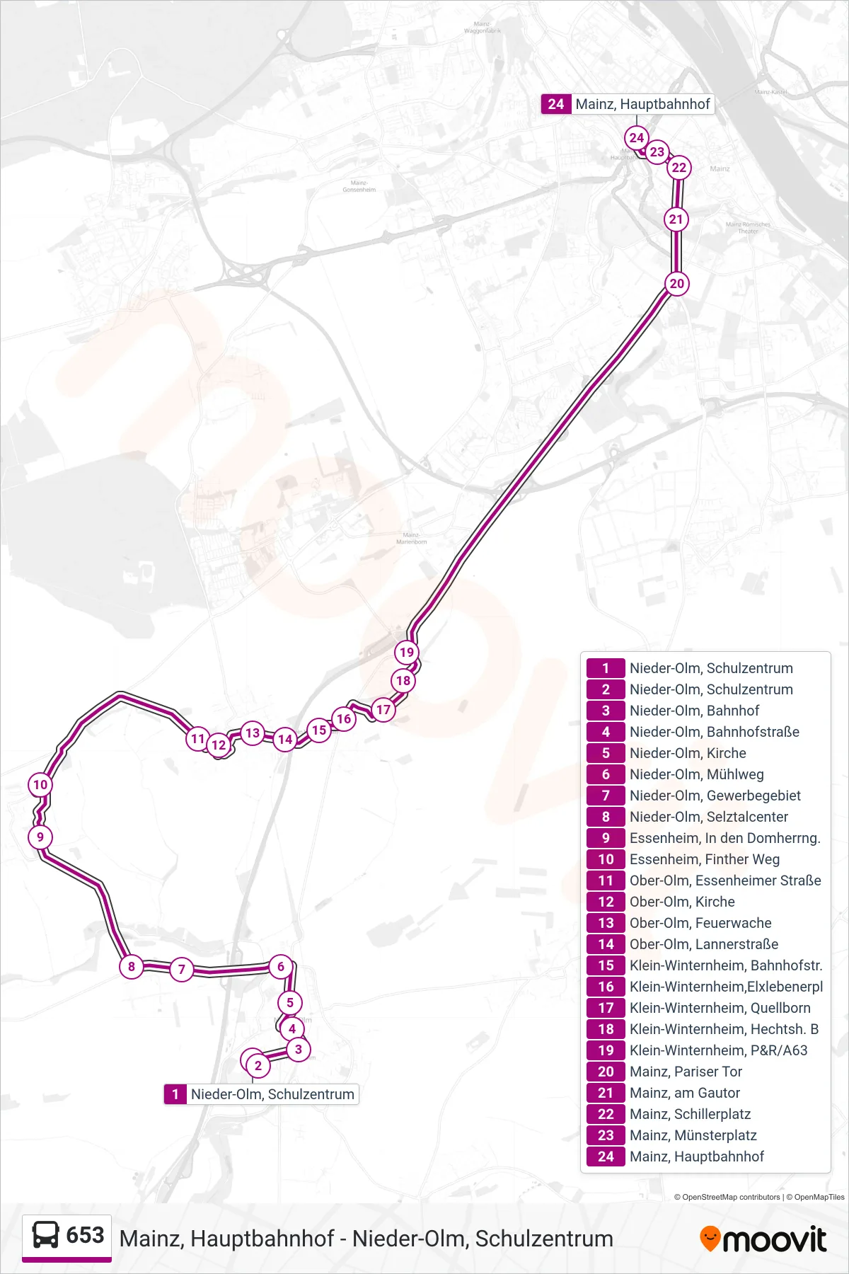 653 bus Line (Mainz, Hauptbahnhof) route and stops on a map