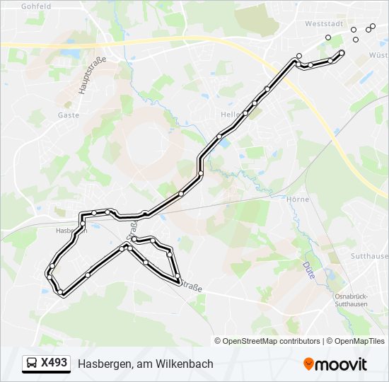 X493 bus Line Map