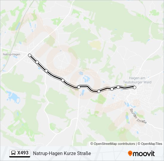 Buslinie X493 Karte