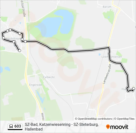 603 Route: Schedules, Stops & Maps - Sz-Flachstöckheim Schule (Updated)