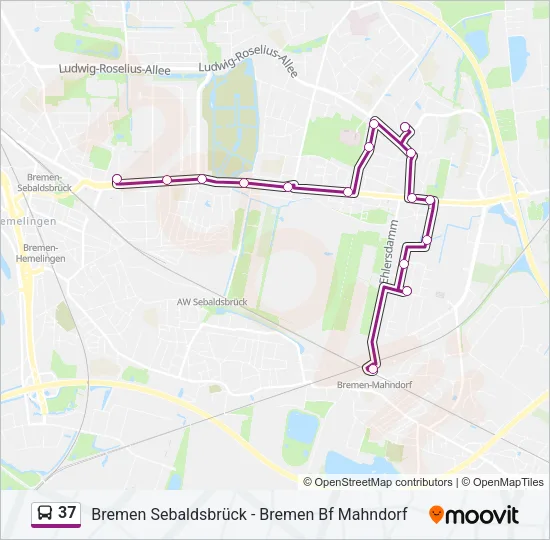 Автобус 37: карта маршрута
