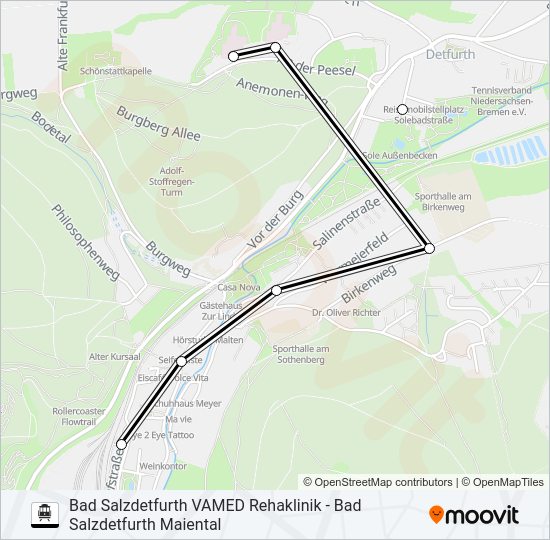 S-Bahnlinie SALZE-BUS Karte