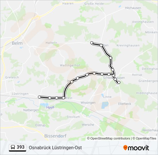 393 bus Line Map