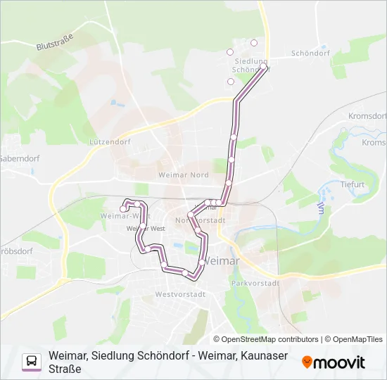 7 Bus Line Map