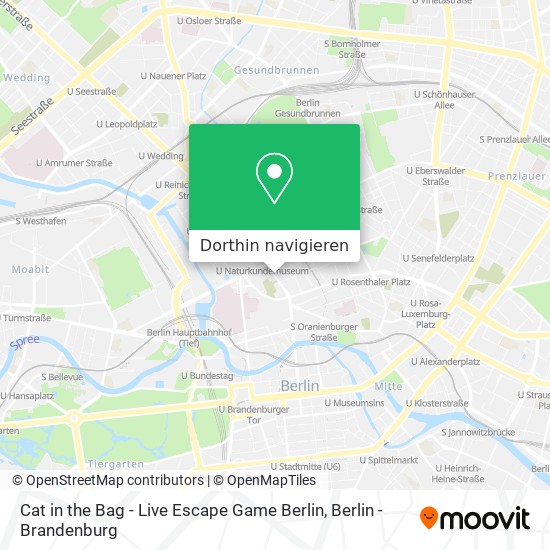 Cat in the Bag - Live Escape Game Berlin Karte