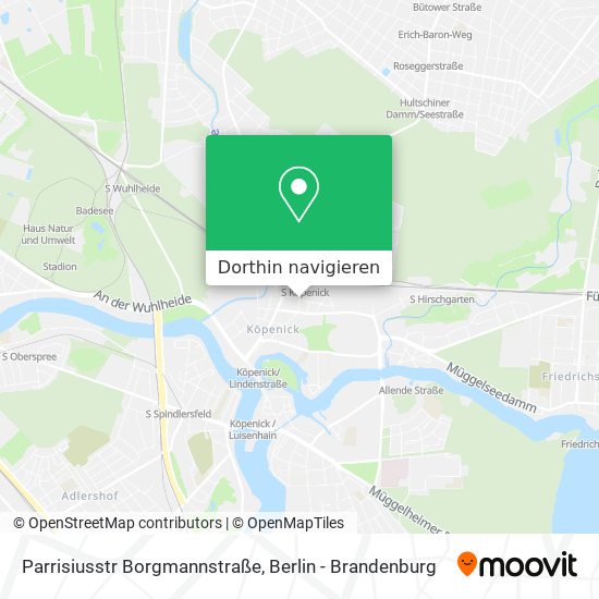 Parrisiusstr Borgmannstraße Karte