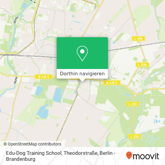 Edu-Dog Training School, Theodorstraße Karte