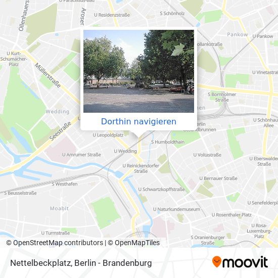 Nettelbeckplatz Karte