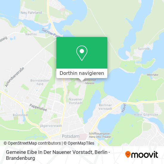 Gemeine Eibe In Der Nauener Vorstadt Karte