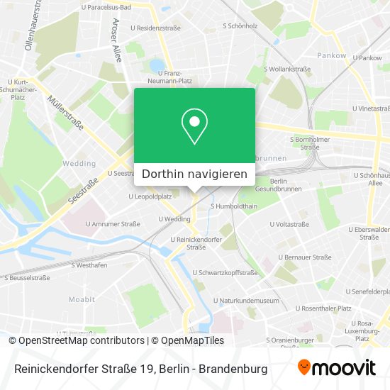 Reinickendorfer Straße 19 Karte