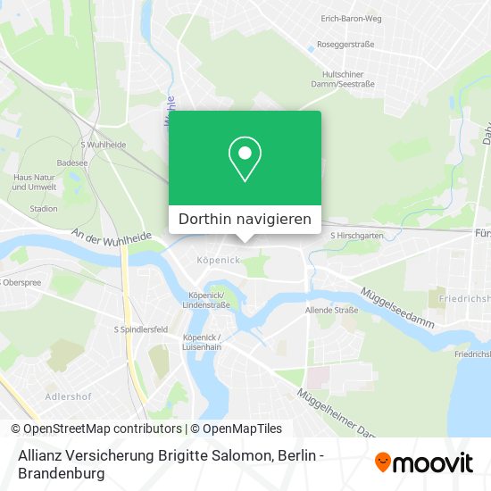 Allianz Versicherung Brigitte Salomon Karte