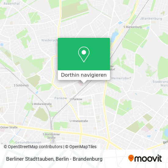 Berliner Stadttauben Karte