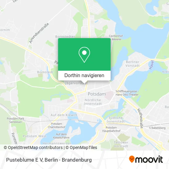 Pusteblume E V Karte