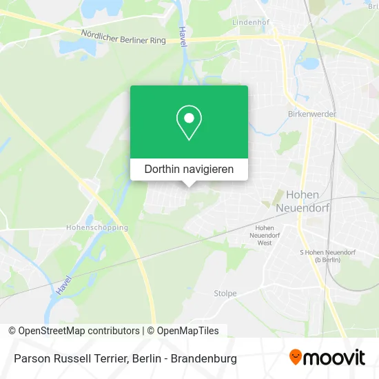 Parson Russell Terrier Karte