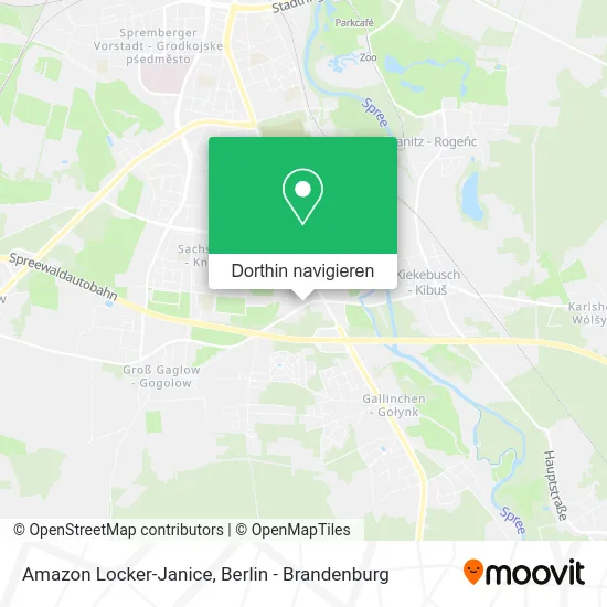 Amazon Locker-Janice Karte