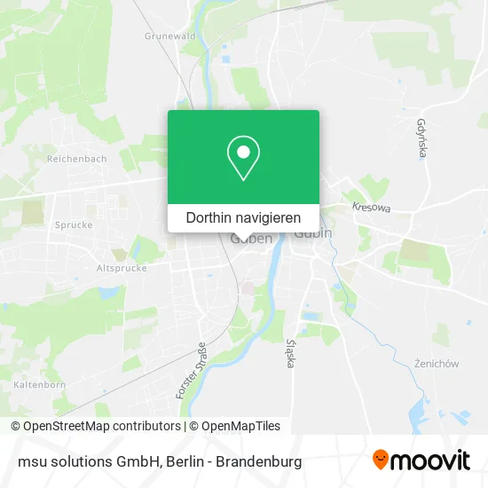 msu solutions GmbH Karte