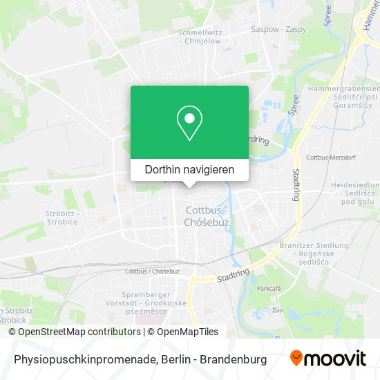 Physiopuschkinpromenade Karte