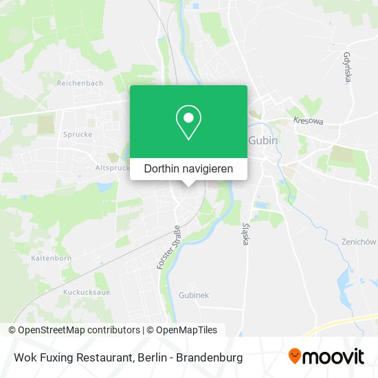 Wok Fuxing Restaurant Karte