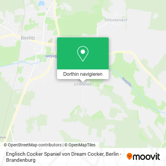 Englisch Cocker Spaniel von Dream Cocker Karte