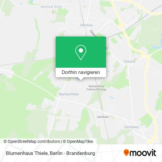 Blumenhaus Thiele Karte