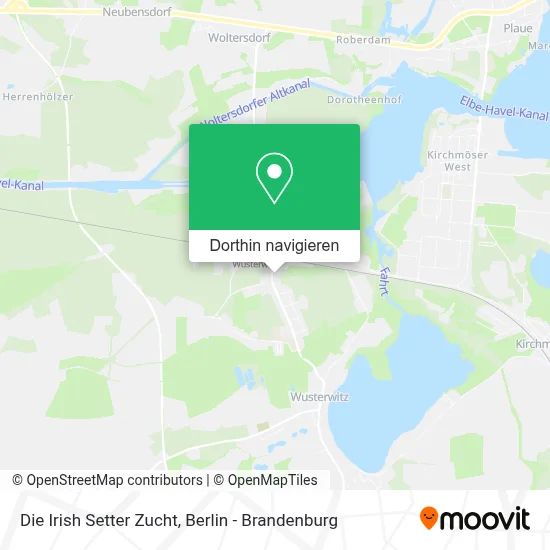 Die Irish Setter Zucht Karte