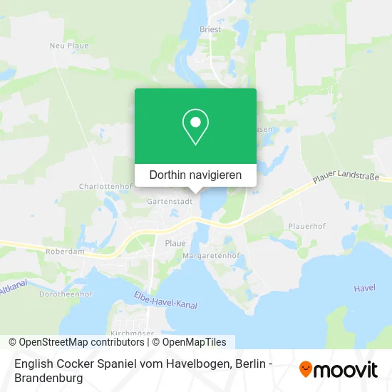 English Cocker Spaniel vom Havelbogen Karte