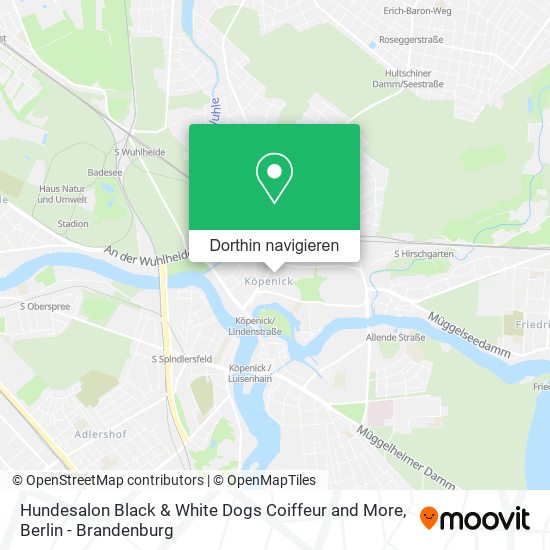 Hundesalon Black & White Dogs Coiffeur and More Karte
