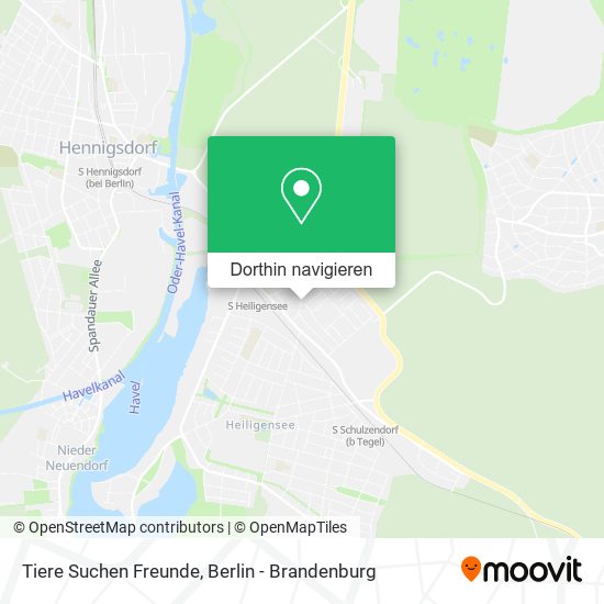 Tiere Suchen Freunde Karte