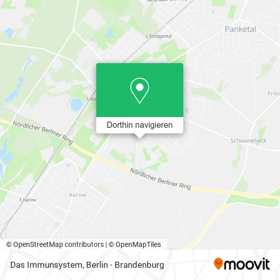 Das Immunsystem Karte