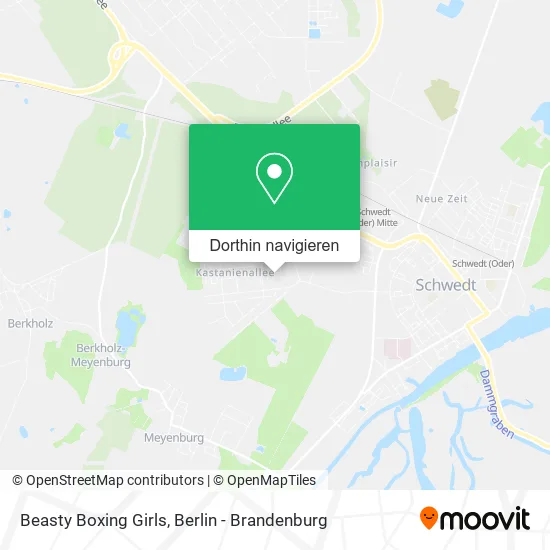 Beasty Boxing Girls Karte