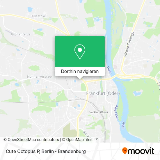 Cute Octopus P Karte