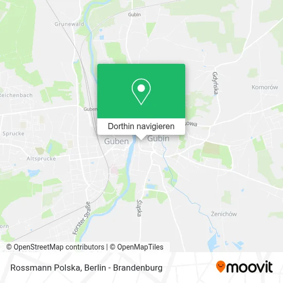 Rossmann Polska Karte