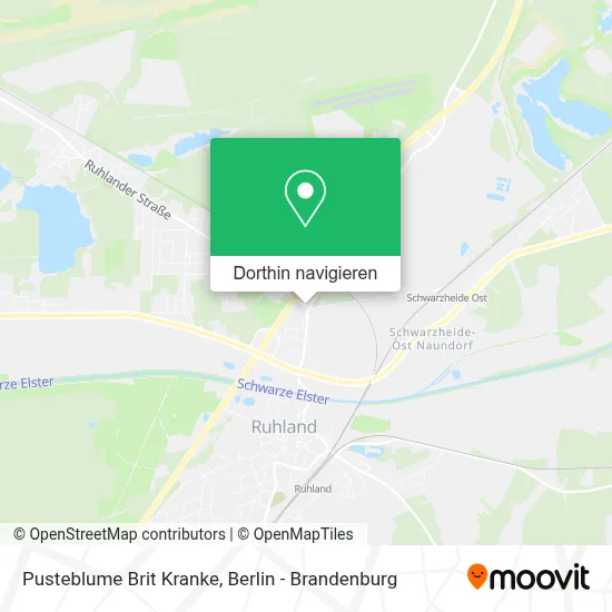 Pusteblume Brit Kranke Karte