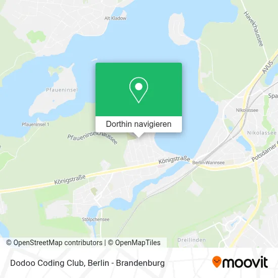 Dodoo Coding Club Karte