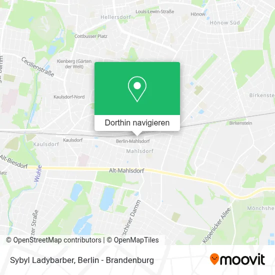 Sybyl Ladybarber Karte