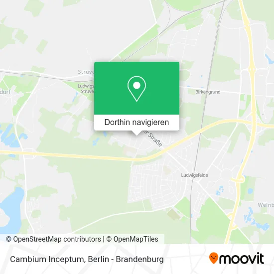 Cambium Inceptum Karte