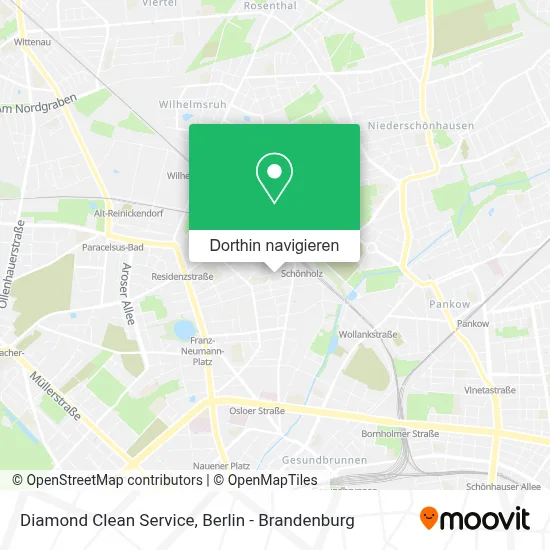 Diamond Clean Service Karte