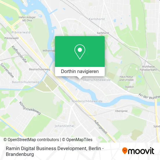 Ramin Digital Business Development Karte