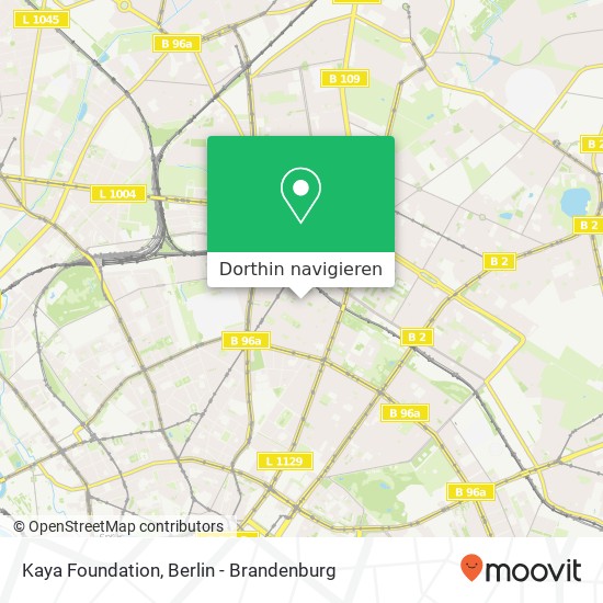 Kaya Foundation, Schliemannstraße 26 Karte