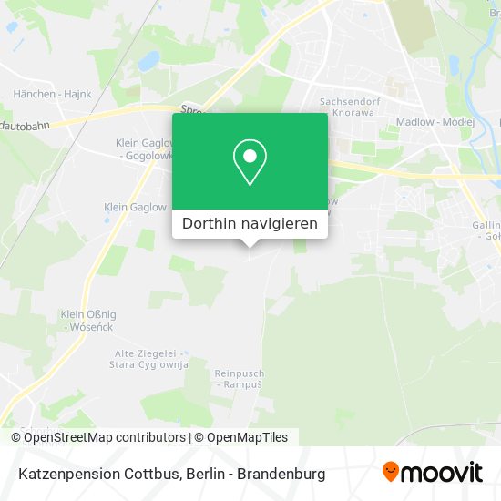 Katzenpension Cottbus Karte