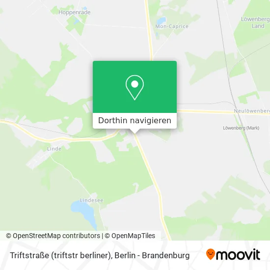 Triftstraße (triftstr berliner) Karte