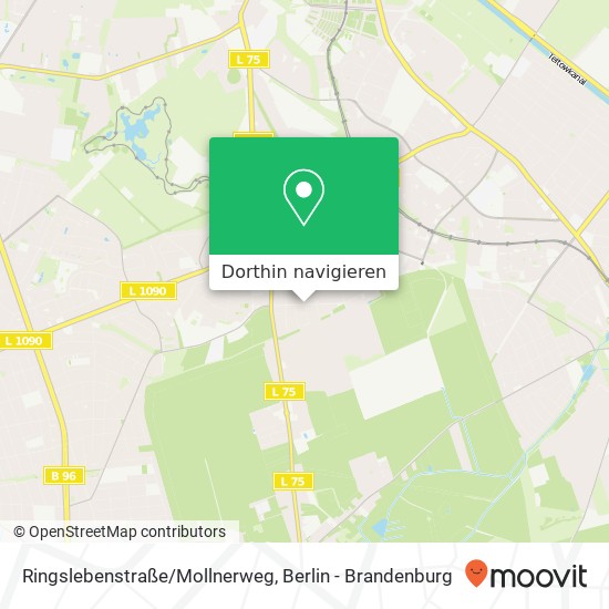 Ringslebenstraße/Mollnerweg Karte