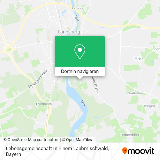 Lebensgemeinschaft In Einem Laubmischwald Karte