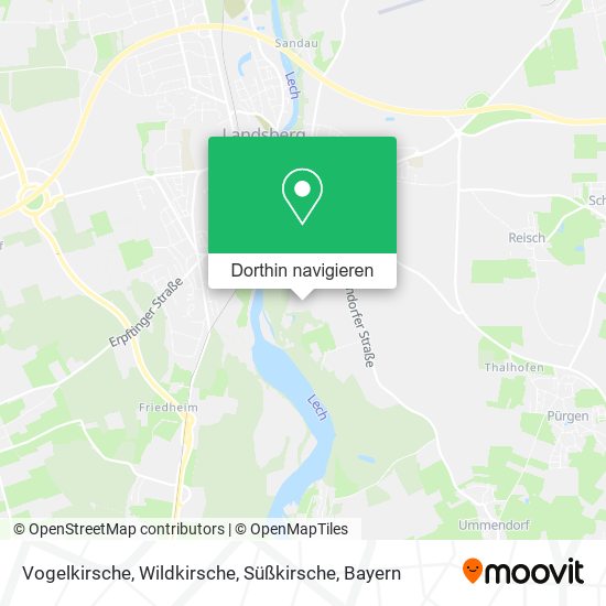 Vogelkirsche, Wildkirsche, Süßkirsche Karte