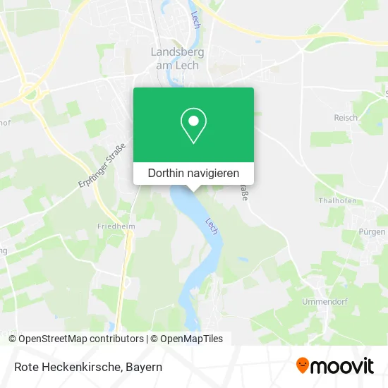 Rote Heckenkirsche Karte