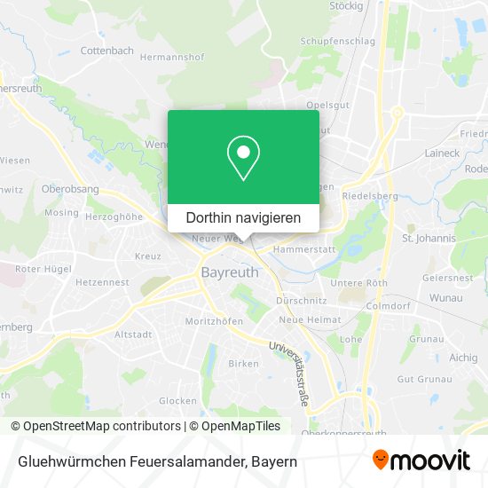 Gluehwürmchen Feuersalamander Karte