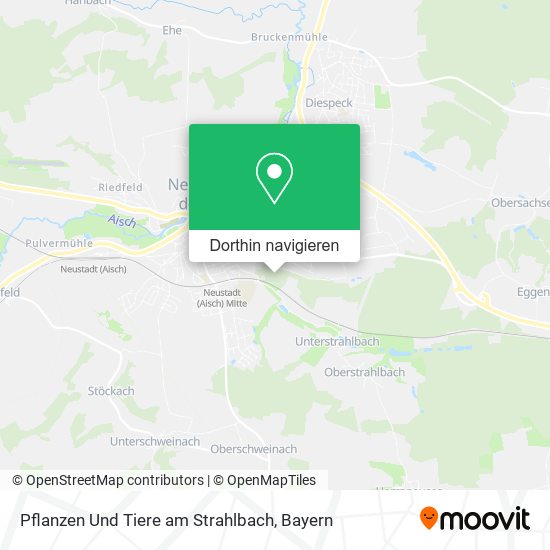 Pflanzen Und Tiere am Strahlbach Karte