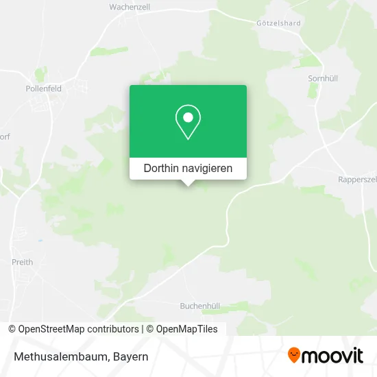 Methusalembaum Karte